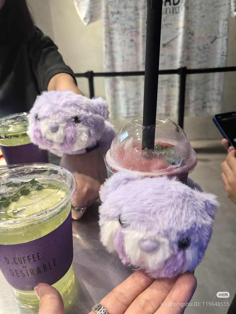 XDH_Bella's tweet photo. ทำเกินไปแล้วนะ D.Desirable มีความspecial bear 🐻 
#D_Desirable #DDesirable  #dstyle #dfamily #dootd #dcoffee #dcake #D牌 #DylanWang #DDesirableGuangzhou
#DDesirableShanghai https://t.co/D5g6c8CZdy