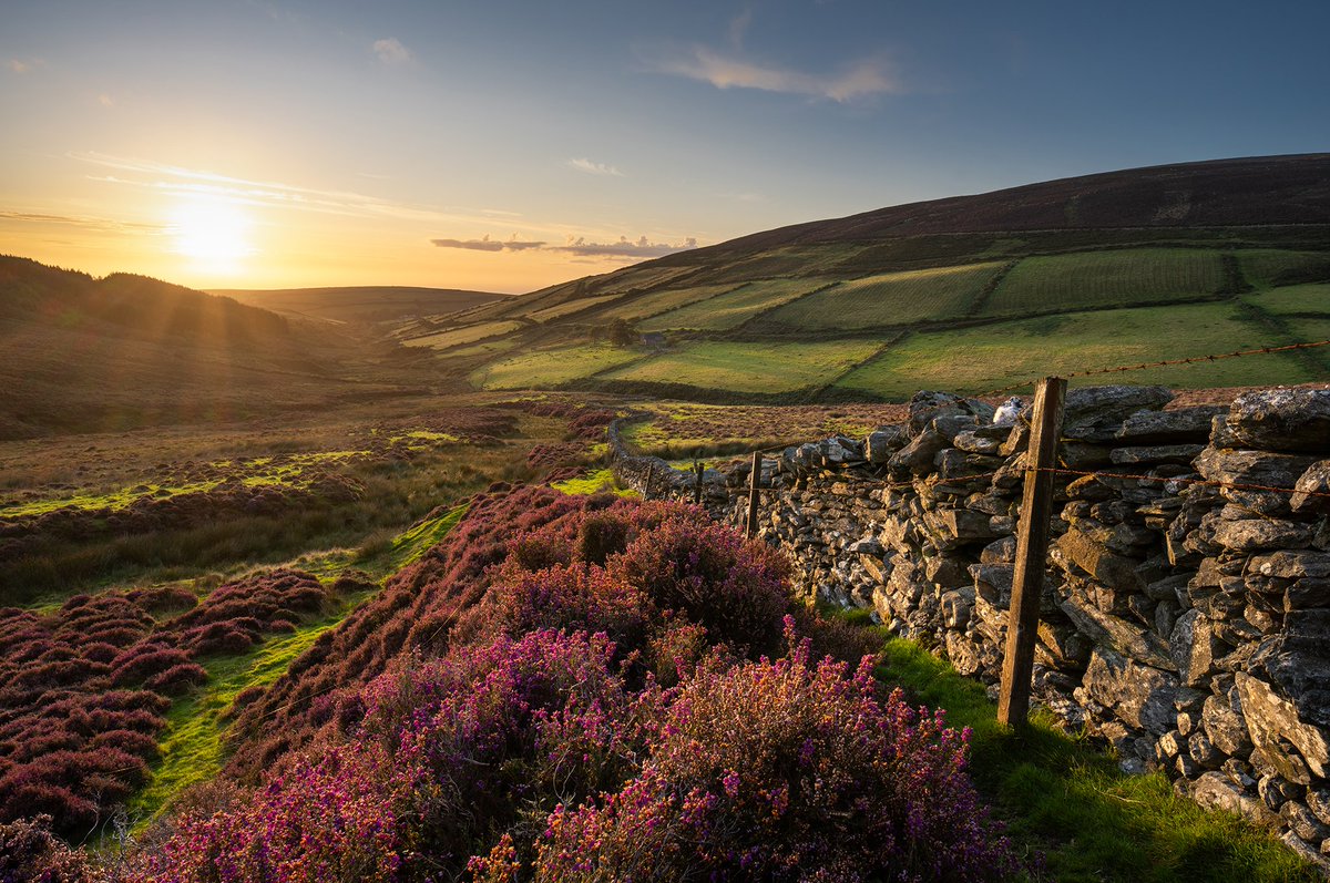 The sun sets on a rare dry September day with the day's last light shining on the ruined tholtan of Cronk Dhoo &amp; its surrounding fields. Remnants of the heather bloom cling on, with a lovely dry-stone wall acting as a nice leading line #iom #isleofman #landscapephotography