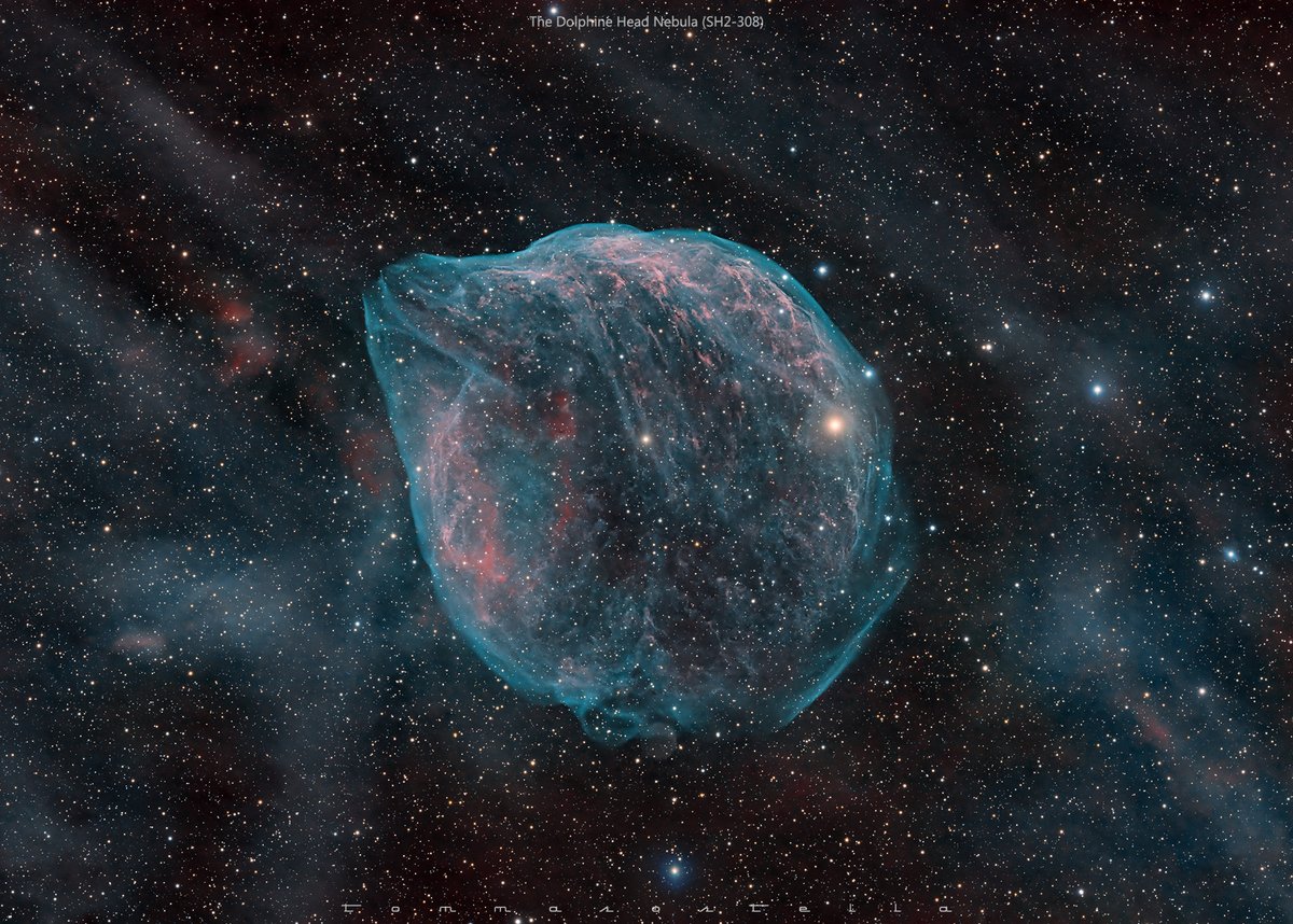 Optolong_filter's tweet image. SH2-308 Dolphin Nebula
Technical data
Sky: OIII Stigliano (MT) SQM 21.2, Ha Valle degli Ulivi (TA) SQM 20.5
Lights:75x300s Ha + 73x300s OIII
Setup:TS APO triplet 102/714@564mm, QHY 294 Pro mono, AZEQ6 GT, #Optolong Ha/OIII 3nm
Credit:Tommaso Massimo Stella
Hope you like it.
#3nm