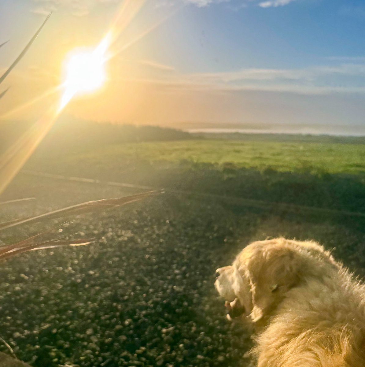 Moher Cottage tweet media