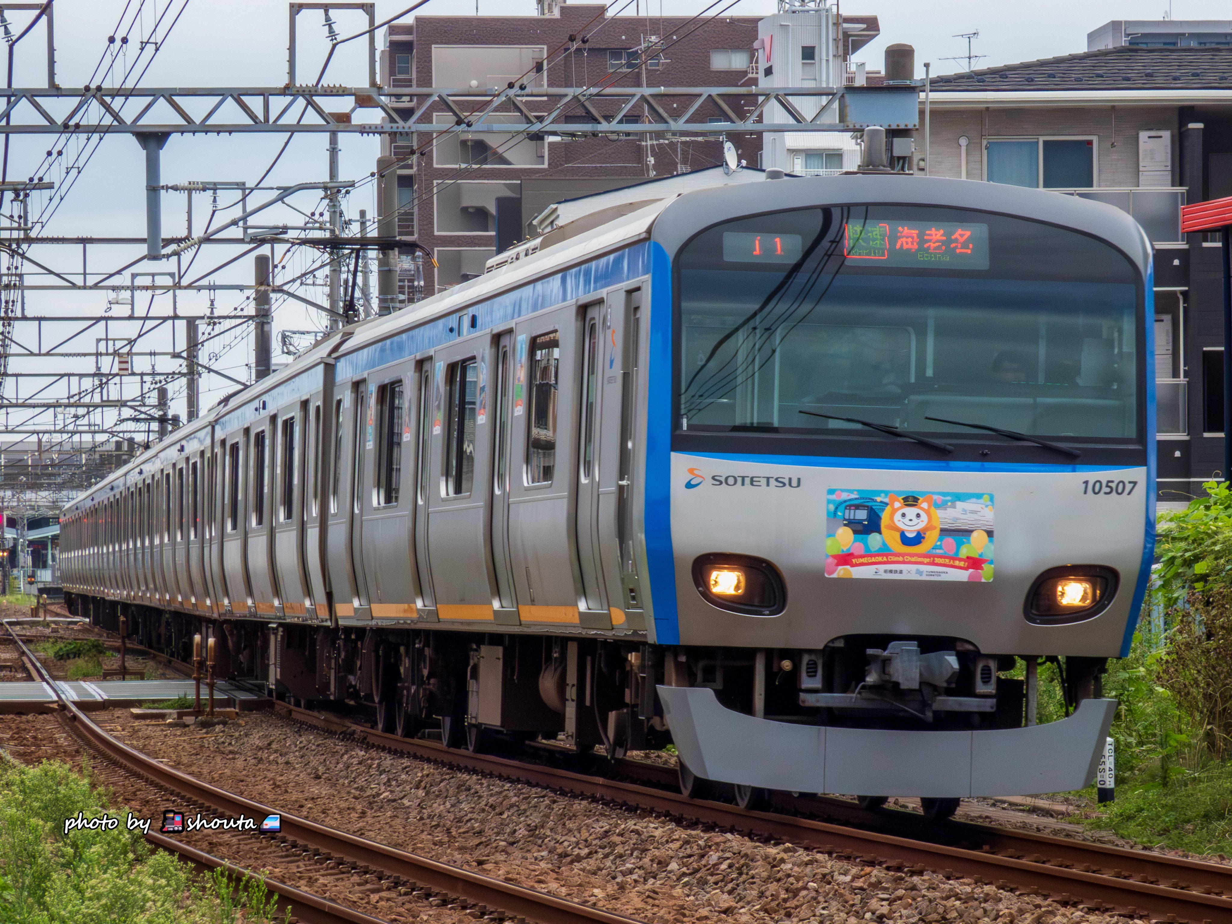 🚂shouta🚅 on X: 