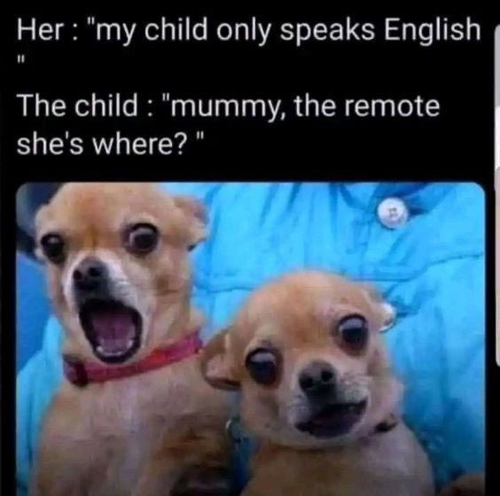 Good morning from this side 😂😂😂
#theblues 
#ManUvsChelsea 
#Chelsea