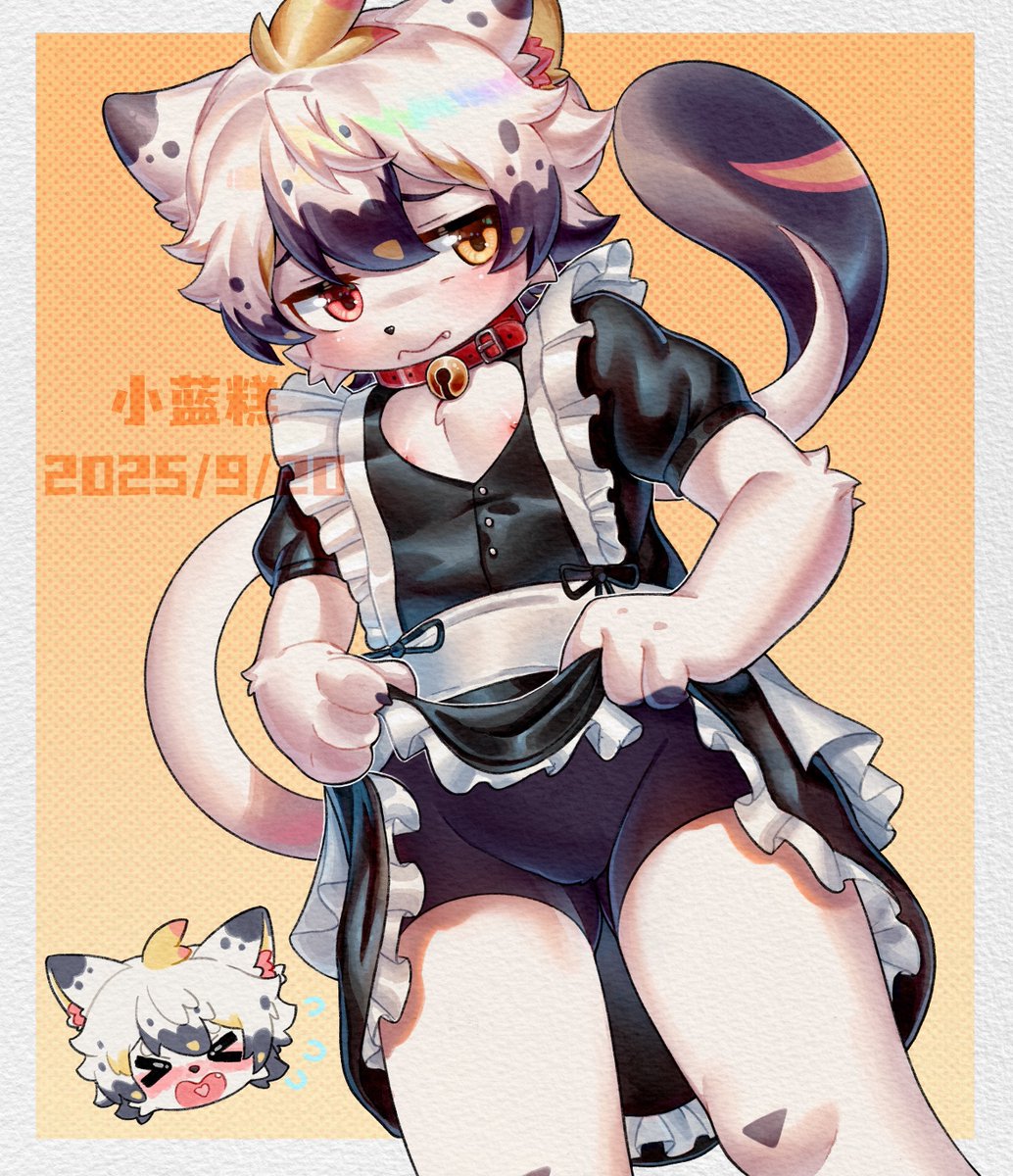 小蓝糕💤 tweet media