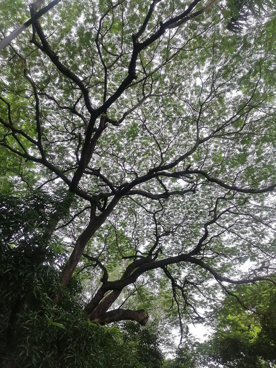 Happy weekend folks...