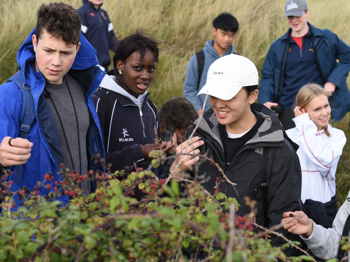 ShrewsburySch's tweet image. Sixth Formers took biology beyond the classroom on our annual Field Course, exploring salt marshes, sand dunes, reserves &amp;amp; rare peat bogs. Hands-on science, real-world skills, lasting impact. #SeriousFun #FloreatSalopia