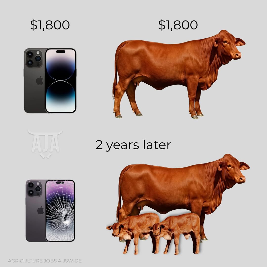 Lain on the Blockchain tweet media