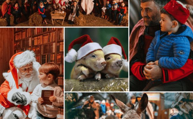 Devon's Top Attractions have some great Devon Christmas experiences! 🎄 Meet Santa, join festive workshops &amp; enjoy magical events across Devon’s Top Attractions. Tickets on sale now—book before they sell out! buff.ly/EltAzRW