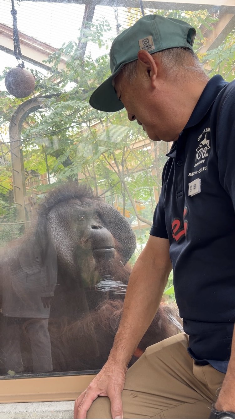 札幌市円山動物園（公式） on X: 