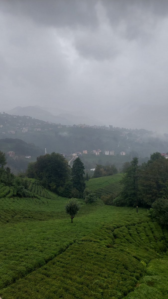 An itibari ile Trabzon Of..