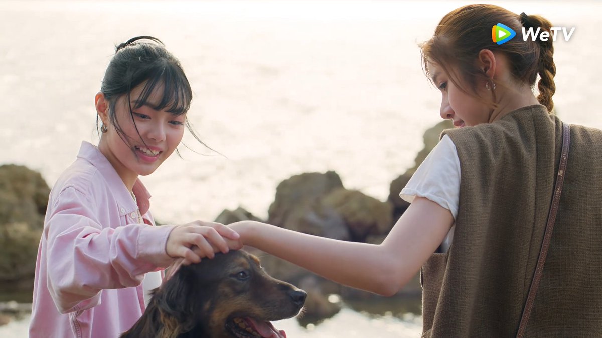 Poyhooood 📯 ภวังค์​หนัง​ tweet media