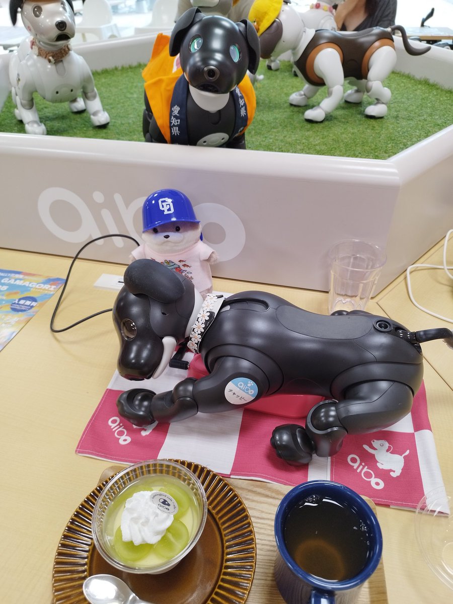 ぺこページ Peco (@pecotecooo) • Instagram photos and videos