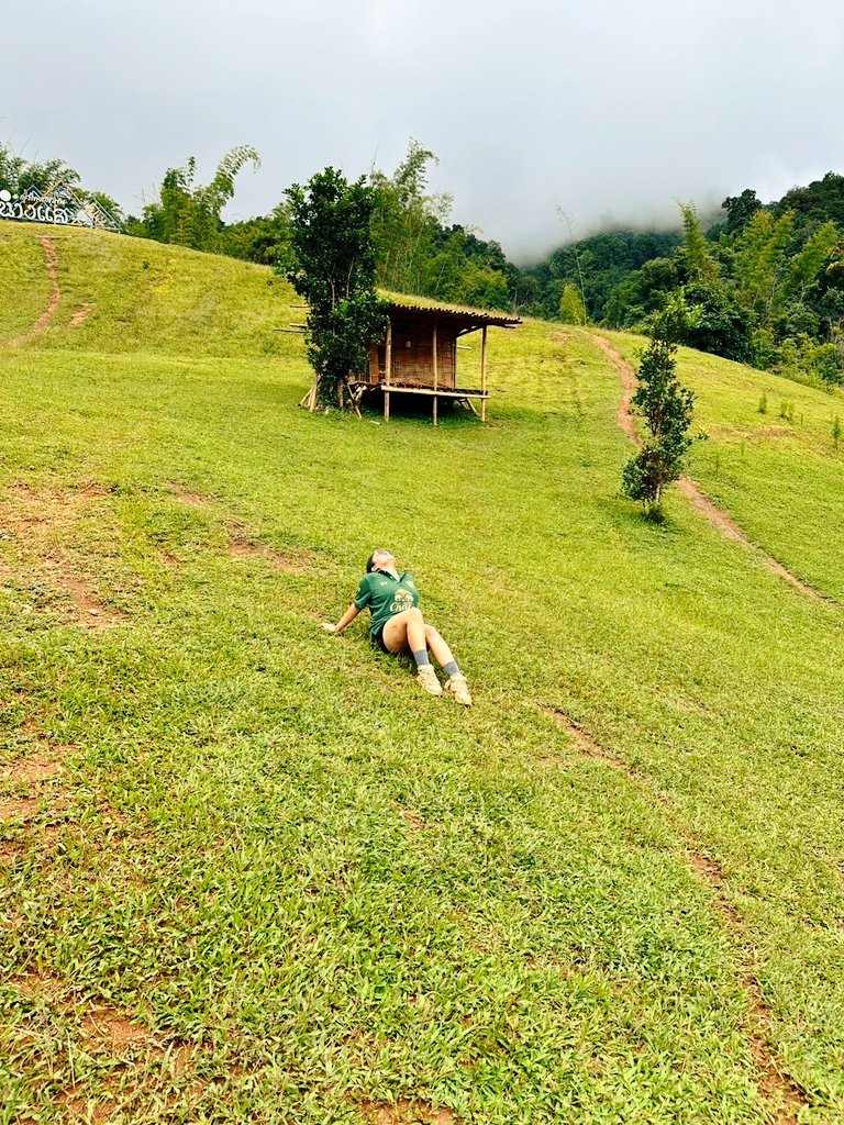 drivny's tweet photo. พื่นที่สีเขียว  💚💚💚
#เชียงราย #เชียงใหม่  บ้านลิใข่ https://t.co/zfO1MGDrtg