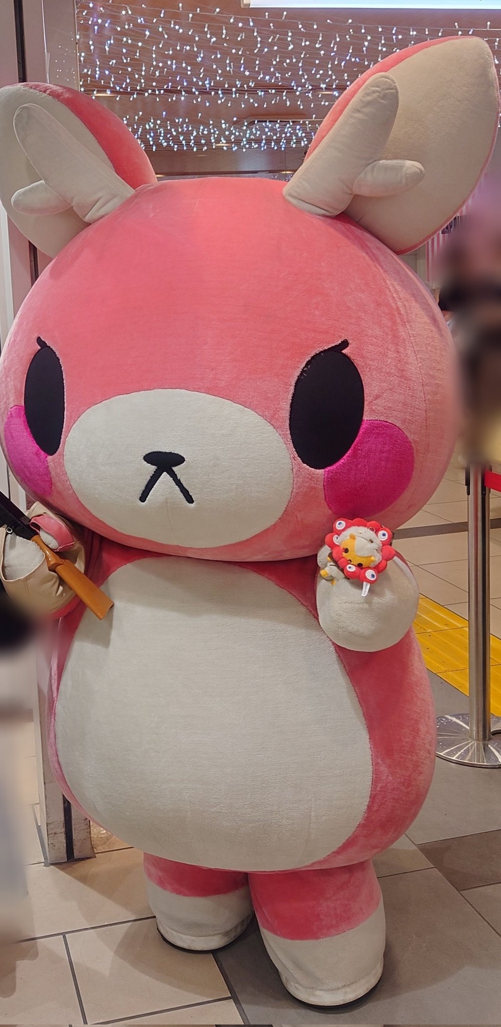 しみっちゃんさん専用 すらいどきゃんすみっコぐらし - 株式会社ハート
