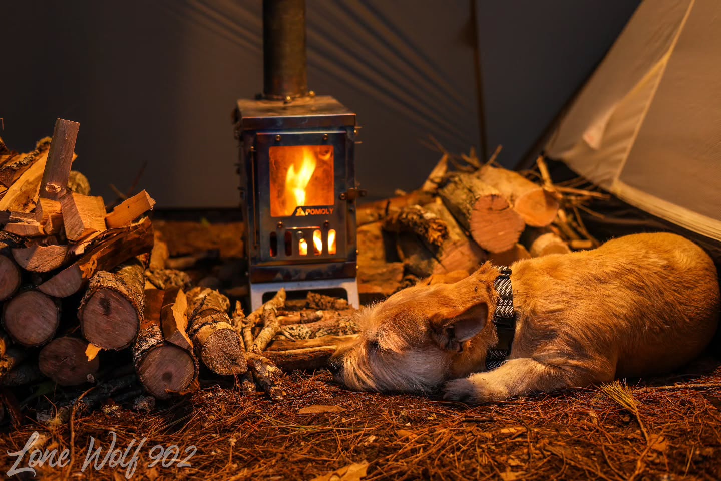 POMOLY【ジャパン】 (@Pomoly_jp) / X