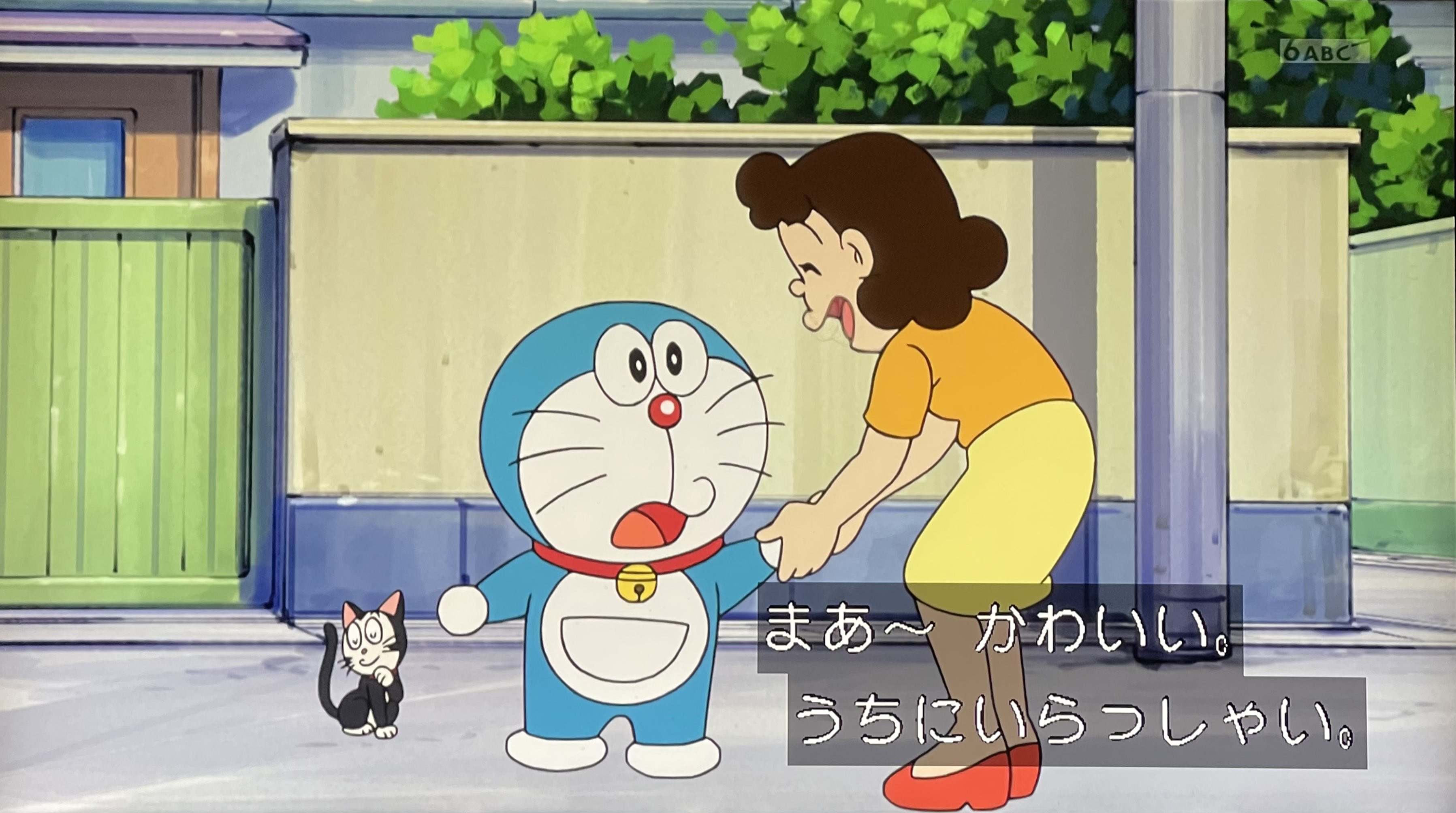 ねことも on X: 