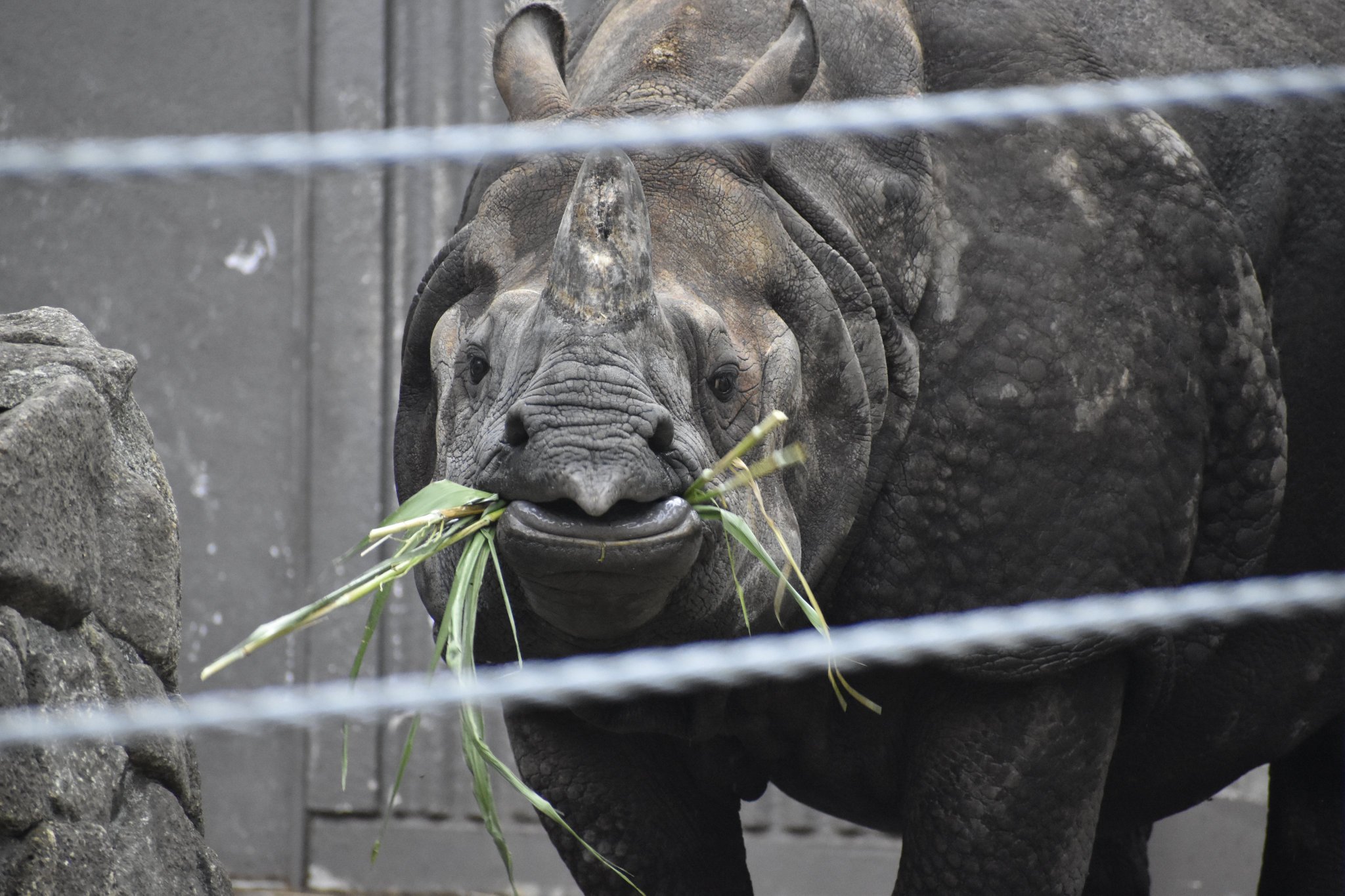 動物園学 動物園水族館ブック (@zooaqa_books) / X