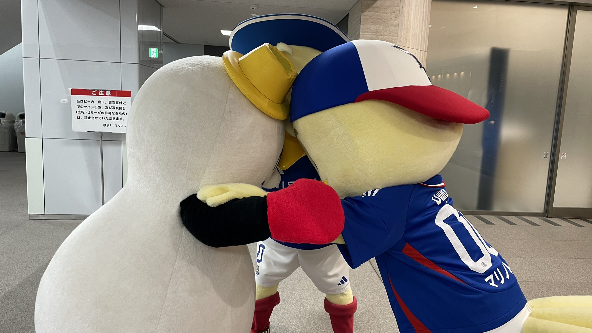 山根陸 横浜F・マリノス グッズまとめ売りセット（バラ売り不可） 7/2（日）湘南戦新商品発売のお知らせ | ニュース | 横浜F