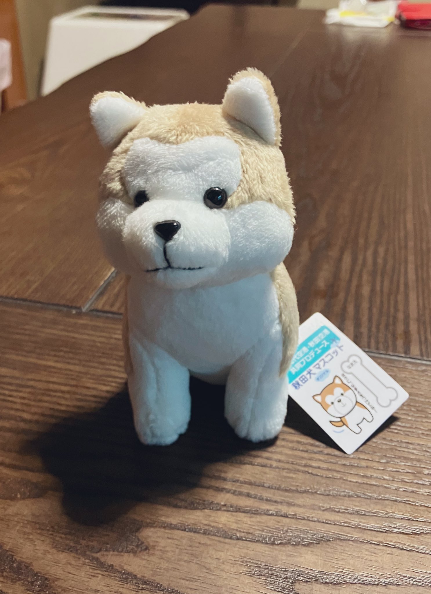 ブヒブヒ犬様。日本橋竺仙 華やかな綿縮 秋草に雪輪 広襟 笹錦あおば🌾本人 on X: 