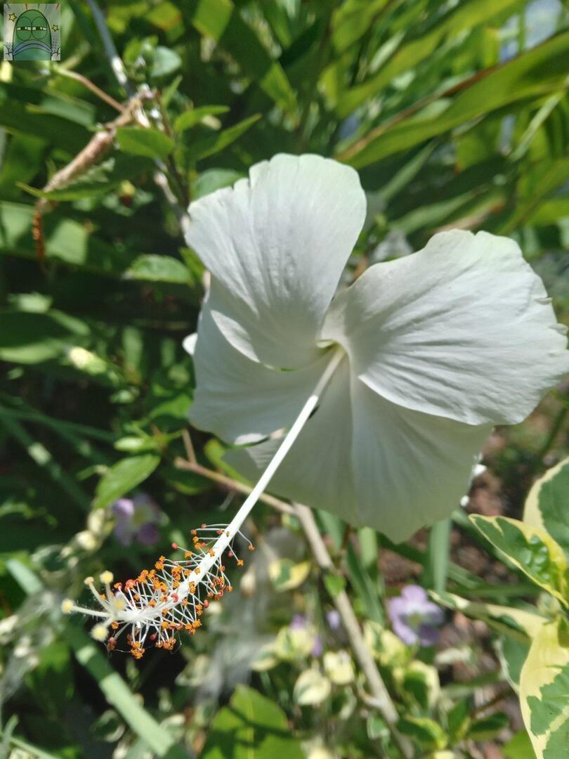 Tanyarlfes tweet media