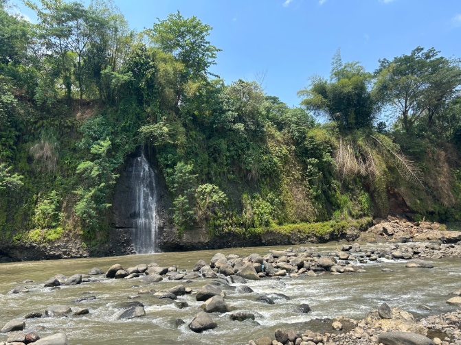 Nick e/code tweet media