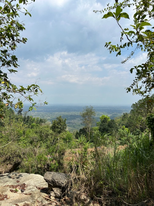 Nick e/code tweet media