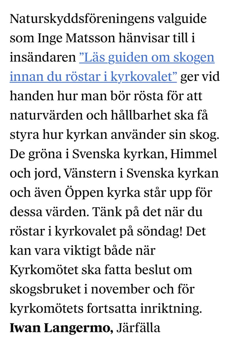 Du tänker väl långsiktigt när du röstar i kyrkovalet.