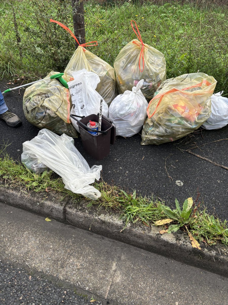 GuyonF's tweet image. Rien que sur la rue de Réaumur à #niort en 1h15 ! Merci aux agents de la @Mairie_Niort et aux citoyens pour leur implication et leur aide 👏👏 #nettoyage #proprete #Engagement
