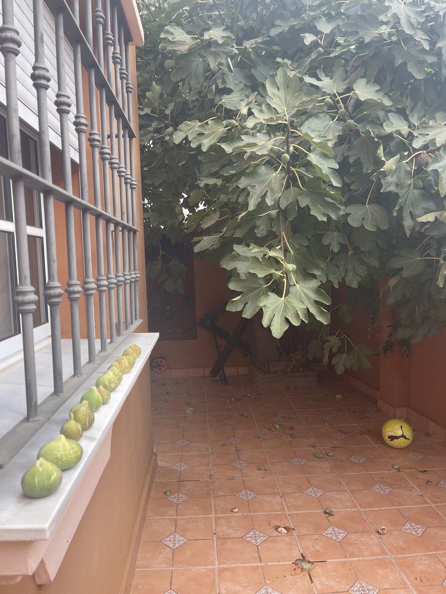 La blandura es buena pa los higos , los del campo lo entenderán ⁦<a href="/erporri/">Romero</a>⁩