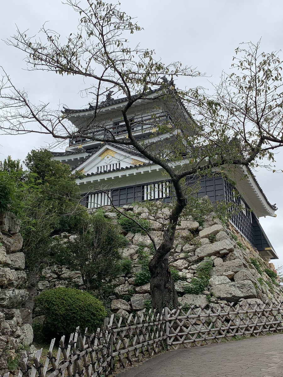 みーこ (@mimimimicann) / Posts / X