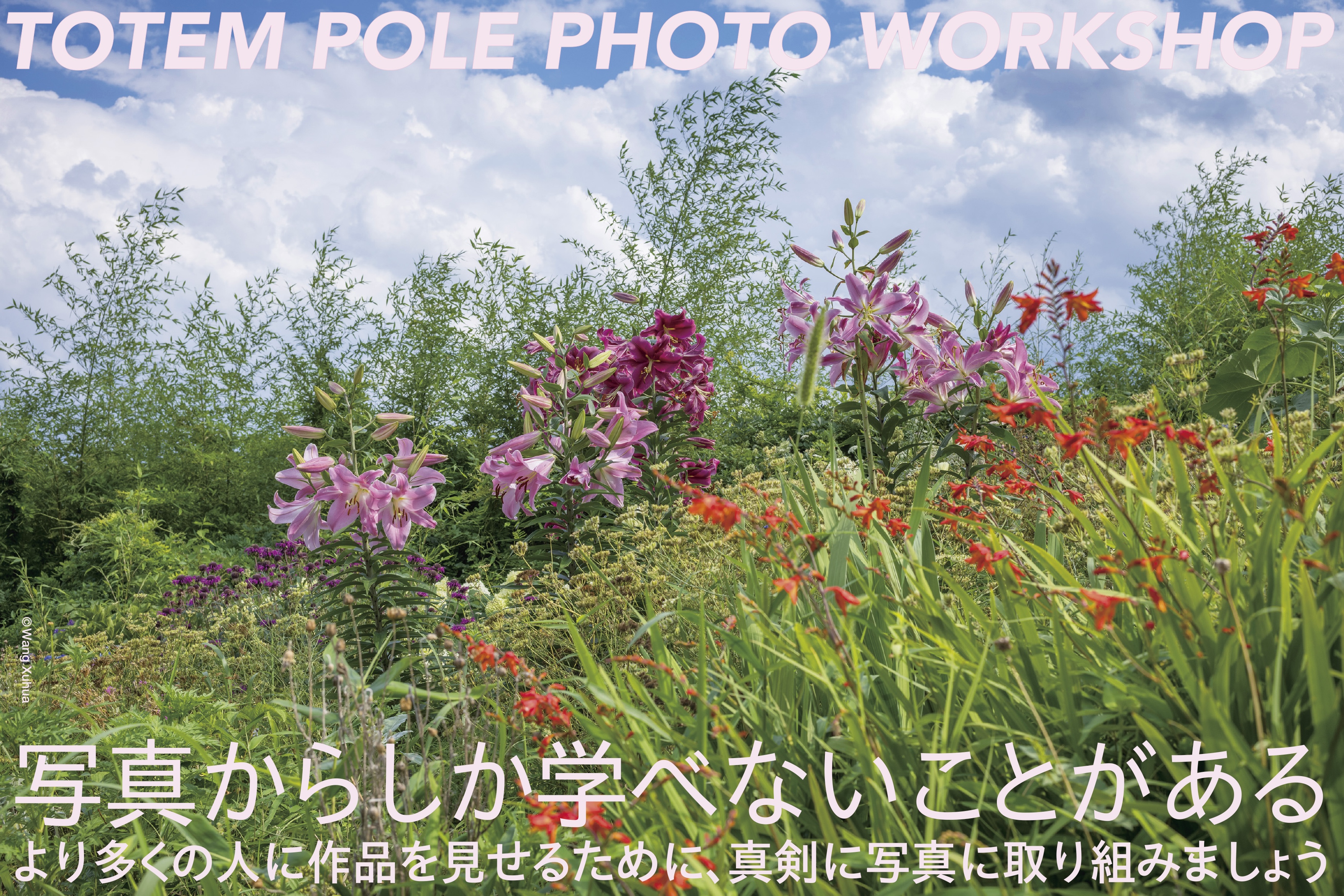 女性情報誌 CLASH ISSUE 119 Summer 2021 TOTEM POLE PHOTO GALLERY (@tppg_news) / X