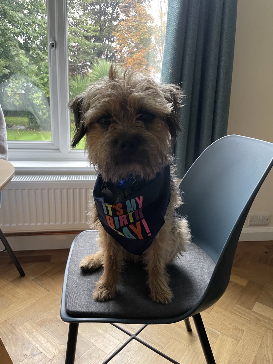 Christine Hill (& Benedict #BTPosse) tweet media