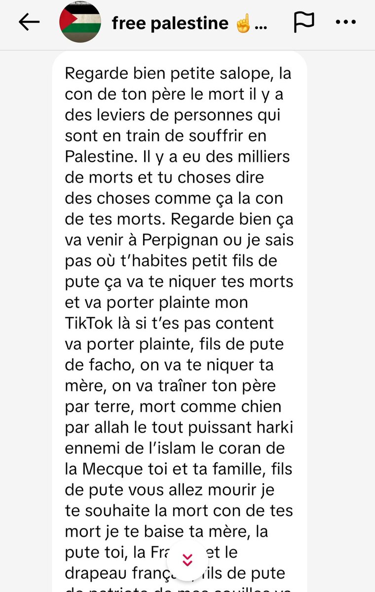 Ben le Patriote 🇲🇫 tweet media