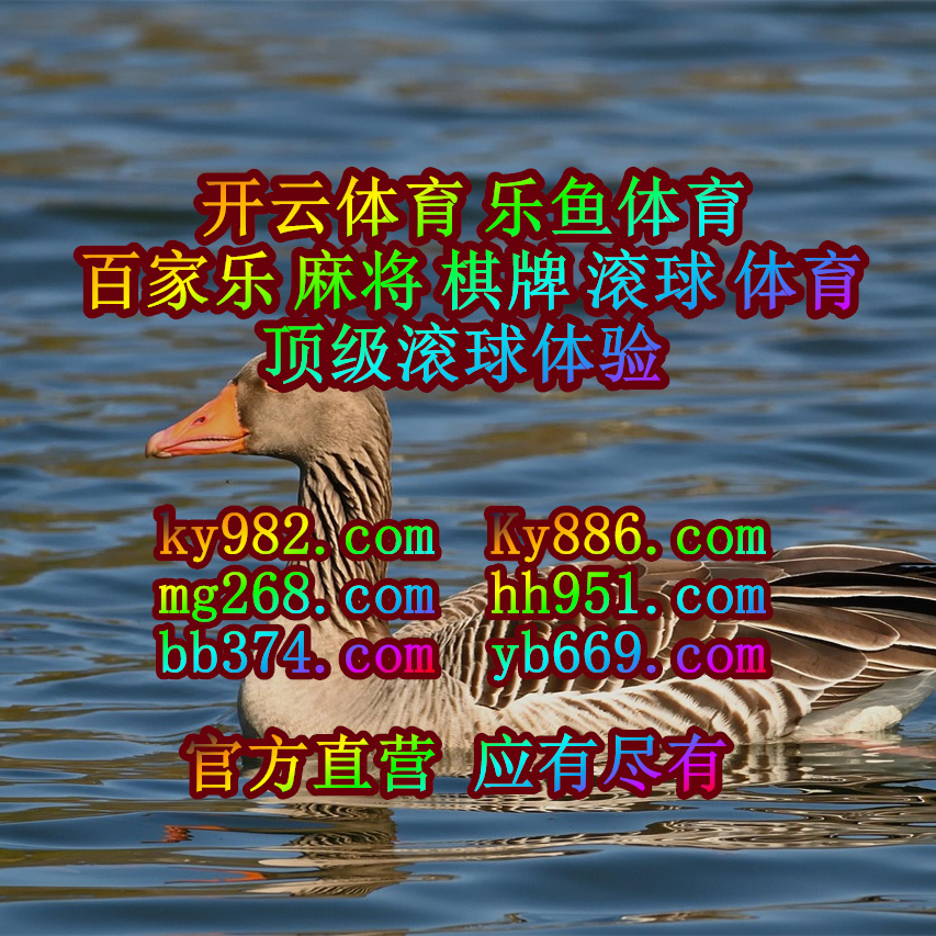 #威利娱乐 #抖圈 #越南快乐彩 #麻将胡了 #魔龙宝珠 #金博官网 tweet media
