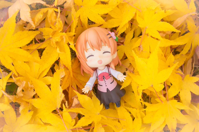 秋が待ち遠しいですね