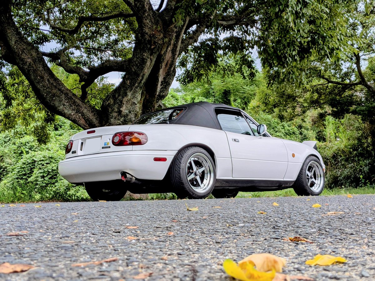 秋が近づいてる気がする🍁
#プリケツ
 #ロードスター