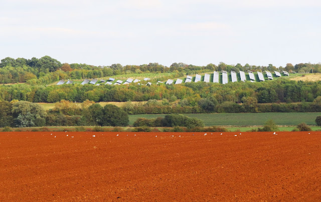 ilonameanqueen1's tweet photo. We are surrounded by lovely countryside here, but ugliness is creeping in. No more please. https://t.co/xtw3S3LPTN