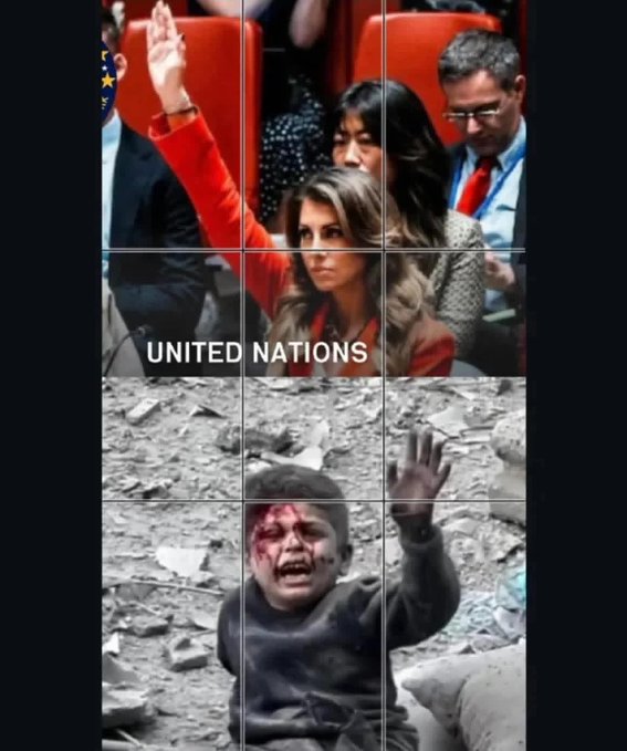 الفيتو الأمريكي سلاح أخطر من القنابل. لأنه يغطي القتل ويمنح القاتل شرعية للاستمرار.

#النفسيه__محتاجه_قهوه𓅂

#الهلال_الاهلي