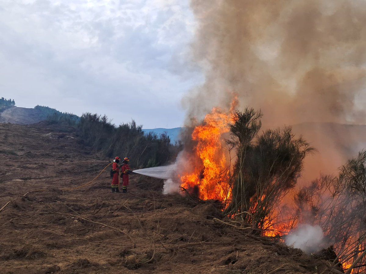 UMEgob's tweet image. Continúan los trabajos de la #UME en el #IFPombeiroPantón
🚒Misión: Consolidación del perímetro apoyados con autobombas tras el paso de maquinaria de ingenieros
#Compromiso #Servicio #Humildad