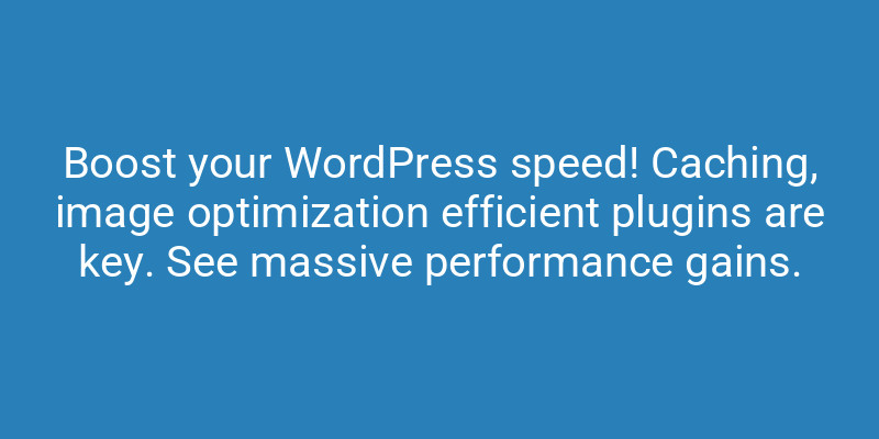 DevelopdataWeb's tweet image. Boost your WordPress speed! Caching, image optimization & efficient plugins are key. 🚀 See massive performance gains. #WordPressPerformance