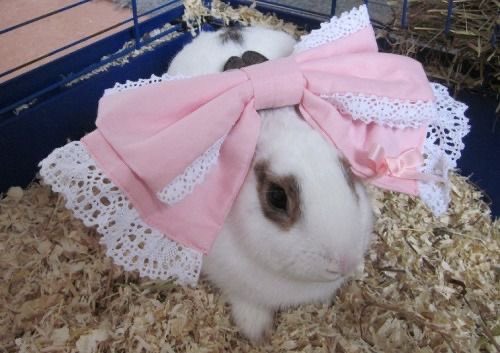 me aftr gettin all dolled up .ᐟ ᕱ🎀ᕱ