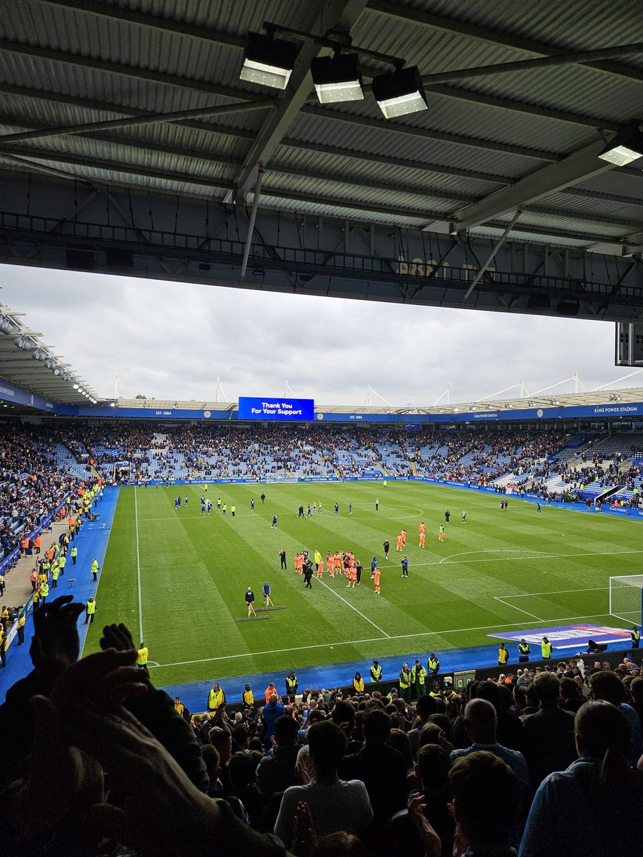 Dan Gill tweet media