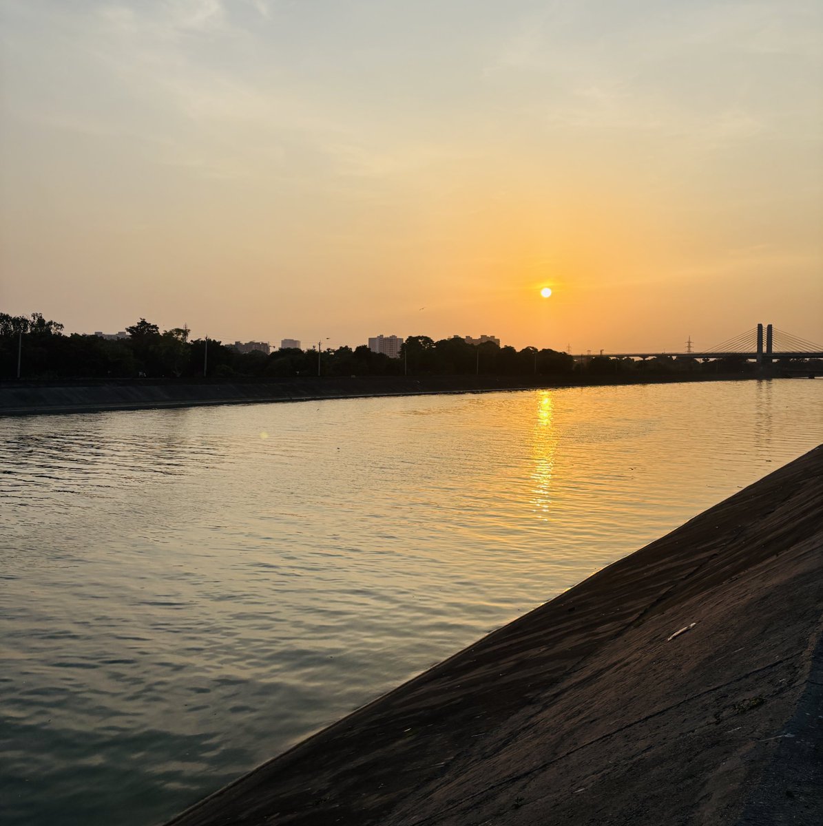 ManoharsinghD's tweet image. “સામ = શાંતિ”