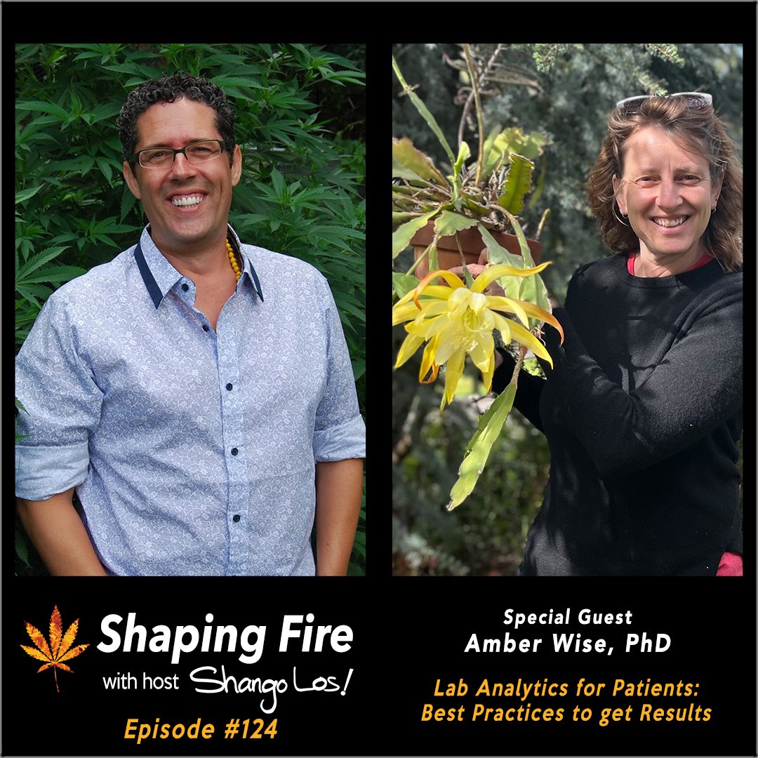 ShapingFire's tweet image. Host @ShangoLos talks with chemist Amber Wise, PhD about contacting labs, choosing your tests, how to interpret them, and how to use the results to make better tinctures, oils and edibles. ShapingFire.com