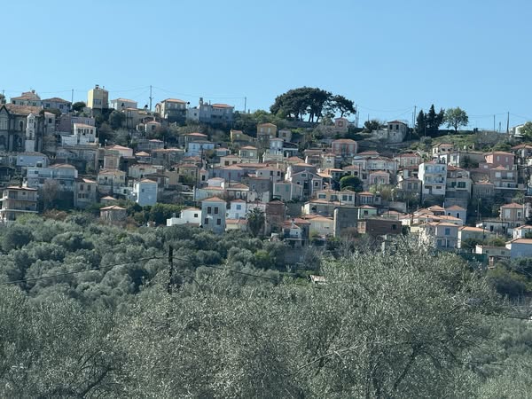 Ölmez Ağaçların Hikâyesi: Midilli ve Edremit Zeytinleri 📷 instagram.com/p/DOvgL_mikMb/…