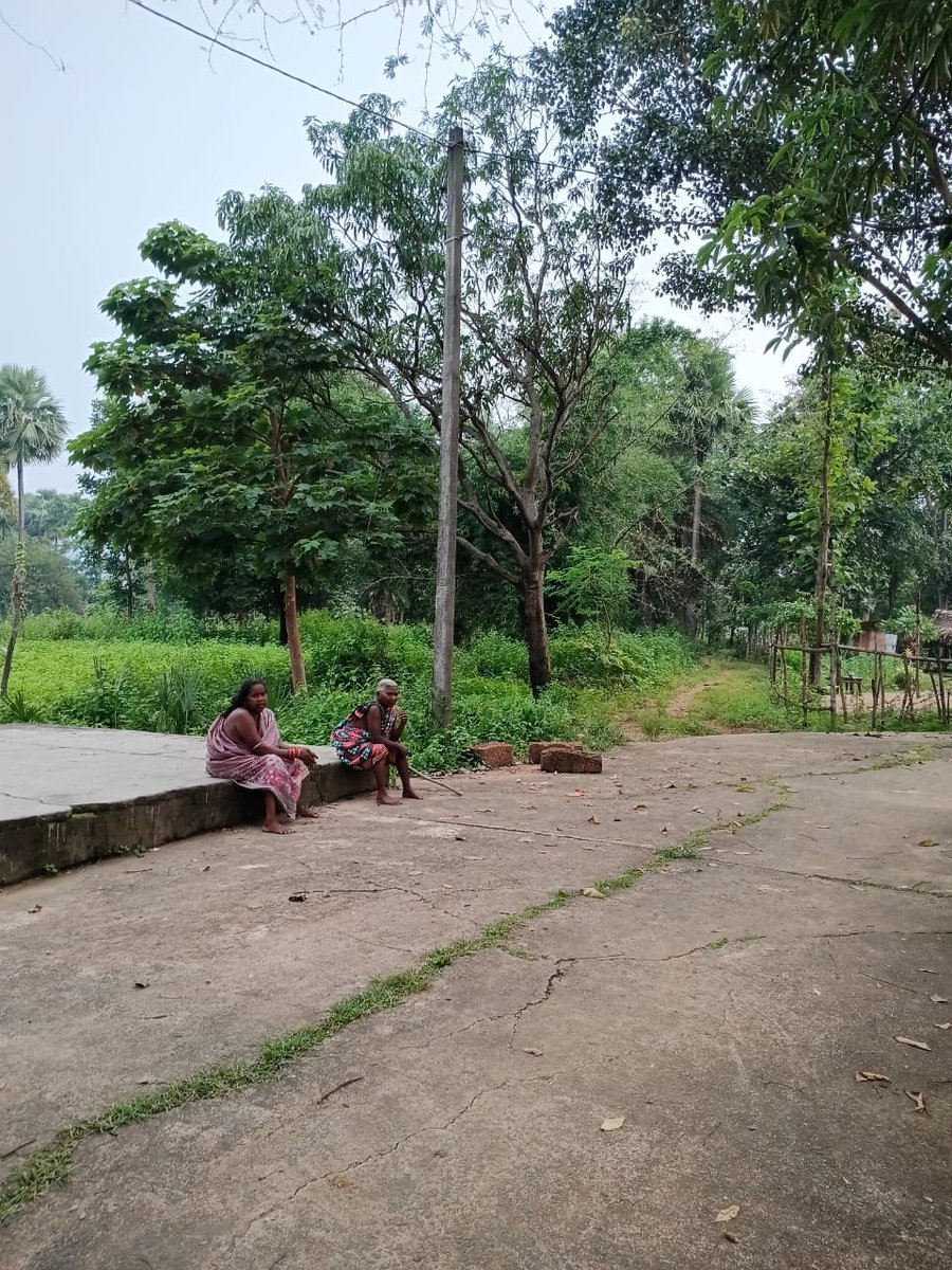 Satyabrat Nayak (@satyabrat_01) on Twitter photo <a href="/DfoDhenkanal/">DFO DHENKANAL</a> <a href="/laxmidhnayak/">Laxmidhar Nayak</a> <a href="/CMO_Odisha/">CMO Odisha</a> <a href="/GaneshRamBJP/">Ganesh Ram Singkhuntia</a> <a href="/PCCFWL_Odisha/">PCCF WL & CWLW, Odisha</a> <a href="/BJP4Odisha/">BJP Odisha</a> <a href="/satyabrata1967/">Satyabrata Sahu</a> <a href="/MohanMOdisha/">Mohan Charan Majhi</a> <a href="/SecyChief/">ChiefSecyOdisha</a> <a href="/BinayaKumarNa17/">Binaya Kumar Naik(Socialist)тЬНя╕П</a> <a href="/OfficialTeamATA/">Team ATA Official</a> <a href="/UpendraMahanan6/">Upendra Kumar Mahananda</a> <a href="/districtadmndkl/">District Dhenkanal</a> <a href="/SubCollectorHdl/">Sub-Collector & ERO, Hindol</a> <a href="/PravatiPOdisha/">Pravati Parida</a> <a href="/ForestDeptt/">Odisha Forest, Env. and Climate Change Department</a> рмХрм╛рмжрнБрммрм╕рмирнНрмд рм╕рм╛рм╣рм┐рмХрнБ рмПрм╣рм┐ рм░рм╛рм╕рнНрмдрм╛ рмжрнЗрмЗ рммрмирнНрнЯ рм╣рм╛рмдрнАрморм╛рмирнЗ рм╕рм╛рм╣рм┐ рмнрм┐рмдрм░рмХрнБ рмкрнНрм░рммрнЗрм╢ рмХрм░рнБрмЫрмирнНрмдрм┐, рмдрнЗрмгрнБ рм╕рнЛрм▓рм╛рм░ рм▓рм╛рмЗрмЯрнН рмЯрм┐ рмПрм╣рм┐ рм╕рнНрмерм╛рмирм░рнЗ рм▓рмЧрм╛рмЗрммрм╛рмХрнБ <a href="/DfoDhenkanal/">DFO DHENKANAL</a> рмЩрнНрмХрнБ рммрм┐рмирморнНрм░ рмЕрмирнБрм░рнЛрмзред
<a href="/CMO_Odisha/">CMO Odisha</a> <a href="/GaneshRamBJP/">Ganesh Ram Singkhuntia</a> 
<a href="/PCCFWL_Odisha/">PCCF WL & CWLW, Odisha</a> <a href="/pccfodisha/">PCCF & HoFF Odisha</a> <a href="/DfoDhenkanal/">DFO DHENKANAL</a> <a href="/laxmidhnayak/">Laxmidhar Nayak</a> <a href="/CMO_Odisha/">CMO Odisha</a> <a href="/GaneshRamBJP/">Ganesh Ram Singkhuntia</a> <a href="/PCCFWL_Odisha/">PCCF WL & CWLW, Odisha</a> <a href="/BJP4Odisha/">BJP Odisha</a> <a href="/satyabrata1967/">Satyabrata Sahu</a> <a href="/MohanMOdisha/">Mohan Charan Majhi</a> <a href="/SecyChief/">ChiefSecyOdisha</a> <a href="/BinayaKumarNa17/">Binaya Kumar Naik(Socialist)тЬНя╕П</a> <a href="/OfficialTeamATA/">Team ATA Official</a> <a href="/UpendraMahanan6/">Upendra Kumar Mahananda</a> <a href="/districtadmndkl/">District Dhenkanal</a> <a href="/SubCollectorHdl/">Sub-Collector & ERO, Hindol</a> <a href="/PravatiPOdisha/">Pravati Parida</a> <a href="/ForestDeptt/">Odisha Forest, Env. and Climate Change Department</a> рмХрм╛рмжрнБрммрм╕рмирнНрмд рм╕рм╛рм╣рм┐рмХрнБ рмПрм╣рм┐ рм░рм╛рм╕рнНрмдрм╛ рмжрнЗрмЗ рммрмирнНрнЯ рм╣рм╛рмдрнАрморм╛рмирнЗ рм╕рм╛рм╣рм┐ рмнрм┐рмдрм░рмХрнБ рмкрнНрм░рммрнЗрм╢ рмХрм░рнБрмЫрмирнНрмдрм┐, рмдрнЗрмгрнБ рм╕рнЛрм▓рм╛рм░ рм▓рм╛рмЗрмЯрнН рмЯрм┐ рмПрм╣рм┐ рм╕рнНрмерм╛рмирм░рнЗ рм▓рмЧрм╛рмЗрммрм╛рмХрнБ <a href="/DfoDhenkanal/">DFO DHENKANAL</a> рмЩрнНрмХрнБ рммрм┐рмирморнНрм░ рмЕрмирнБрм░рнЛрмзред
<a href="/CMO_Odisha/">CMO Odisha</a> <a href="/GaneshRamBJP/">Ganesh Ram Singkhuntia</a> 
<a href="/PCCFWL_Odisha/">PCCF WL & CWLW, Odisha</a> <a href="/pccfodisha/">PCCF & HoFF Odisha</a>