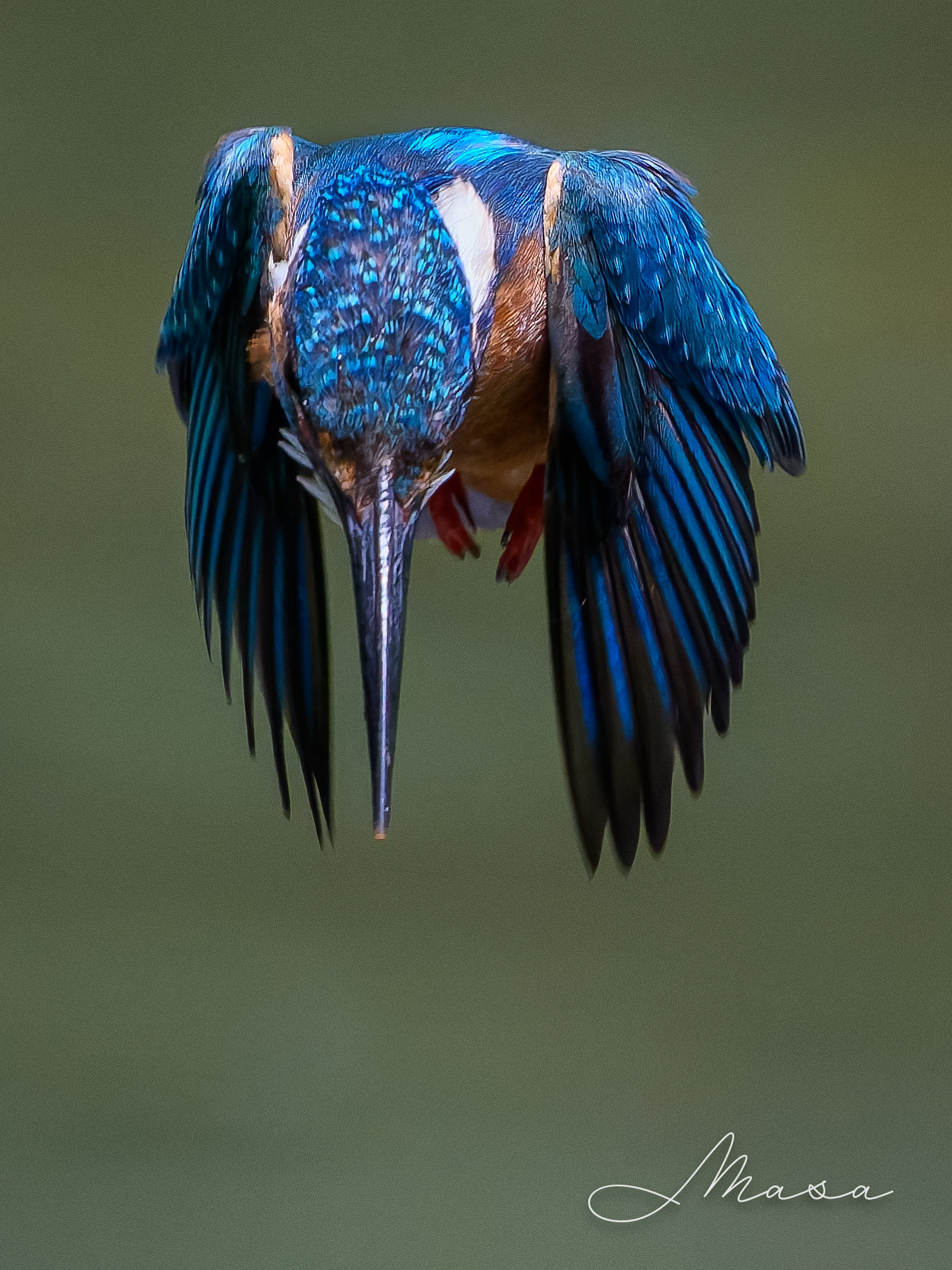 まさ/ Masa (@AlphaMasa) / X