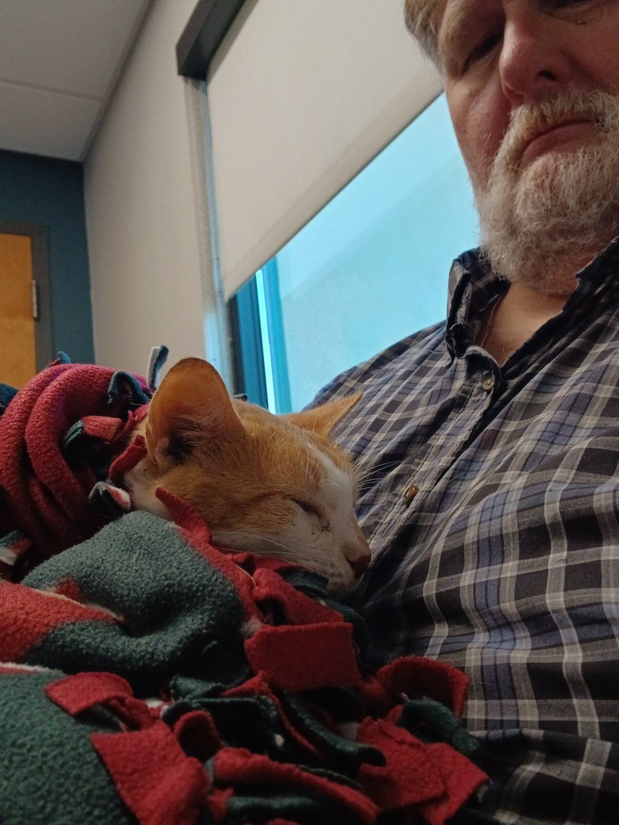 Styree2016's tweet image. Final goodbye. Put down because a dog broke his back. He was my friend.