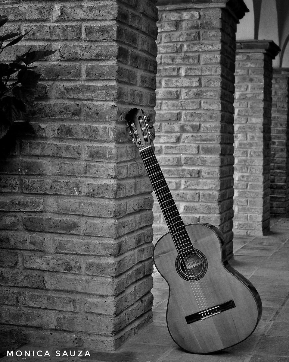 mosave_87's tweet image. El se paseó por su piel con la yema de los dedos, sin tocarla apenas, y vivió por primera vez el prodigio de sentirse en otro cuerpo.
Gabriel García Márquez

📷IG: monicasauza

#guitarra #bnwphotography #musicphotography