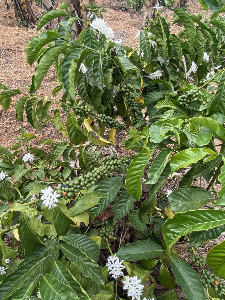 <a href="/AKasingye/">AIGP(Rtd) Asan Kasingye</a> <a href="/TayariSecurity/">TAYARI SECURITY LIMITED</a> Here now…!