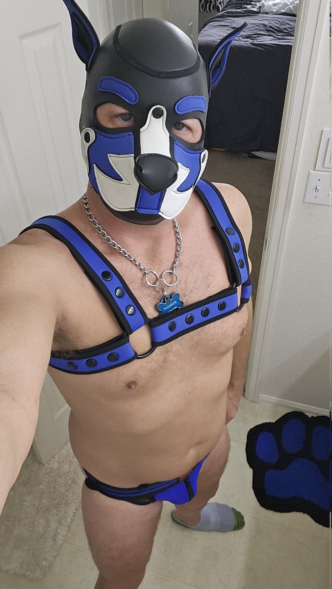 Pup Thunder tweet media